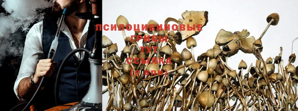 мескалин Бронницы
