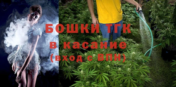 ПСИЛОЦИБИНОВЫЕ ГРИБЫ Верхний Тагил