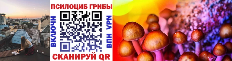 Галлюциногенные грибы мицелий  площадка как зайти  Северск 